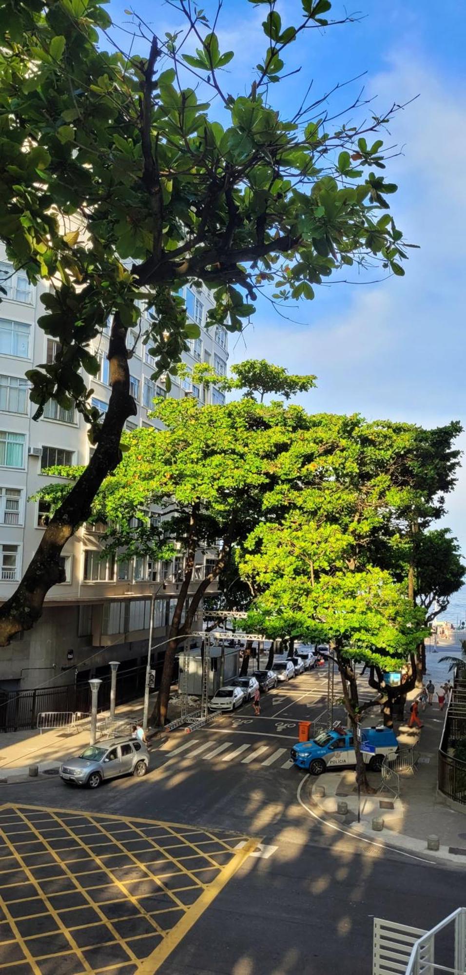 Copanema Ao Lado Da *